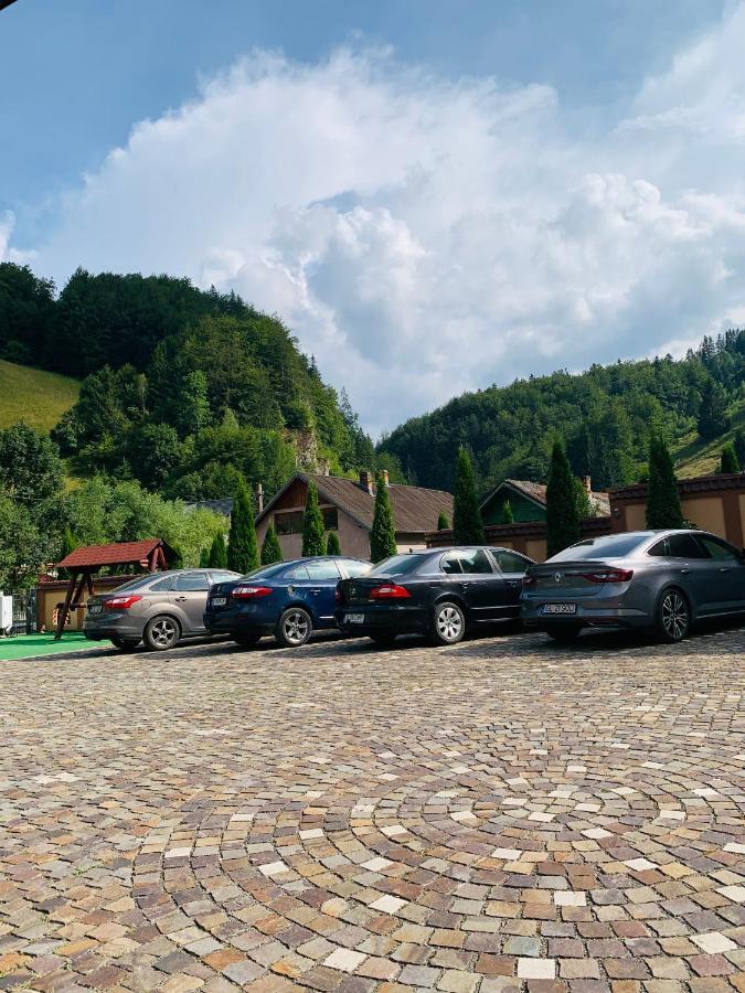 Pensiune Restaurant Piatra Craiului Dîmbovicioara Екстериор снимка