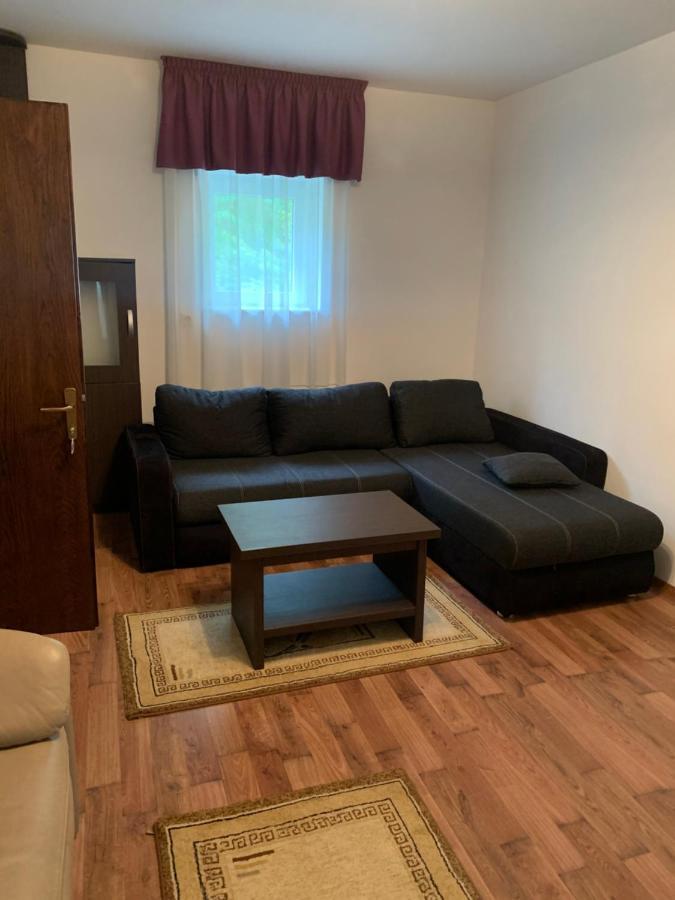 Pensiune Restaurant Piatra Craiului Dîmbovicioara Екстериор снимка