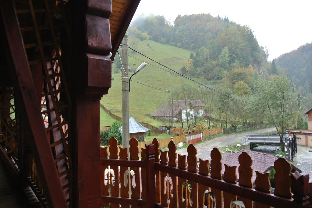 Pensiune Restaurant Piatra Craiului Dîmbovicioara Екстериор снимка