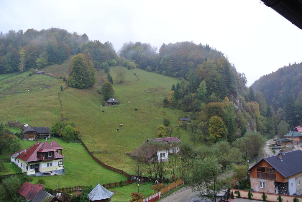 Pensiune Restaurant Piatra Craiului Dîmbovicioara Екстериор снимка